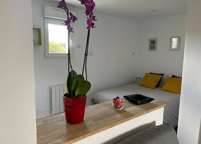 La Belle Etoile רואה